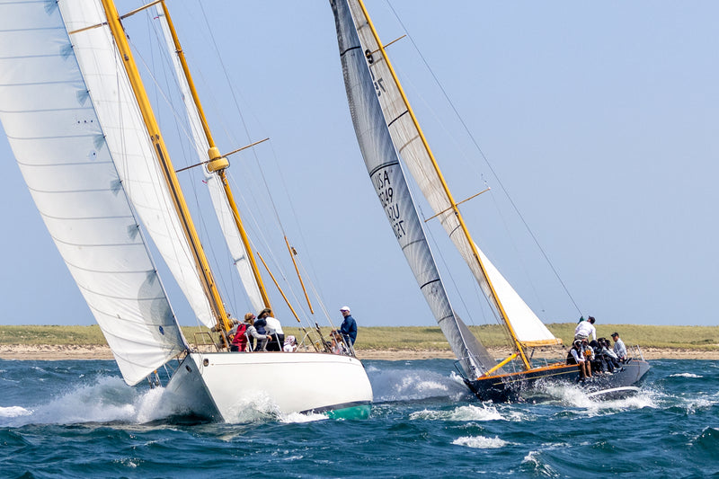 Opera House Cup