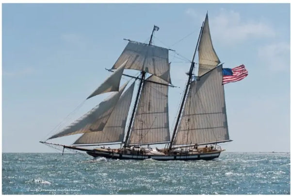 Women's Sailing Sunset Cruise