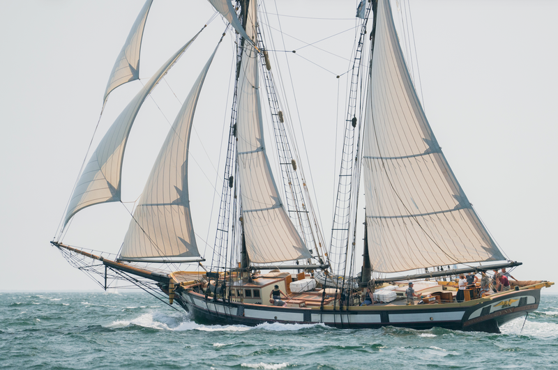 Women's Sailing Sunset Cruise